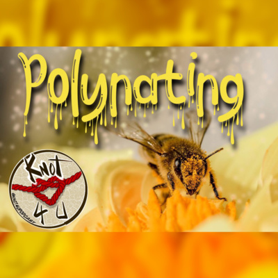 Ep 201-Polynating🐝🍯