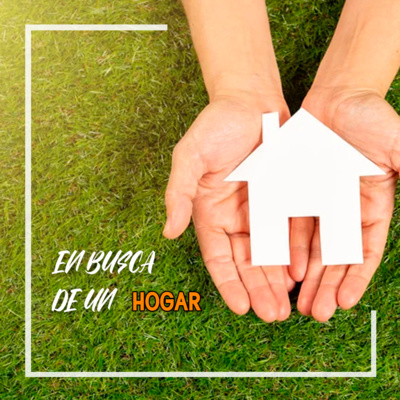En busca de un hogar  episode artwork