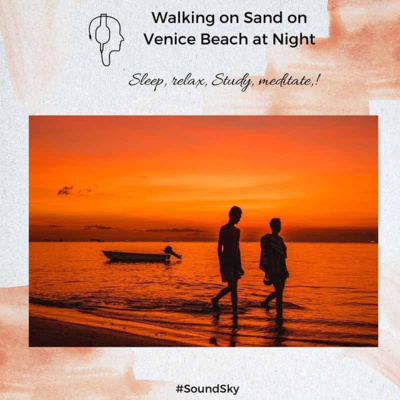 38. Walking on Sand on Venice Beach at Night- Beach waves sound | SoundSky episode artwork