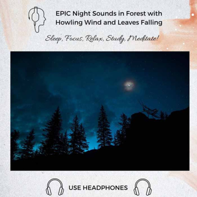 58. EPIC Night Sounds in Forest with Howling Wind and Leaves Falling | Stress relief, Study, Focus, Sleep, Meditation episode artwork