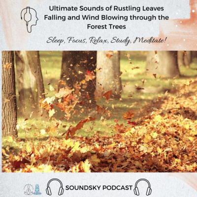 75. Ultimate Sounds of Rustling Leaves Falling and Wind Blowing through the Forest Trees| Autumn, Fall episode artwork
