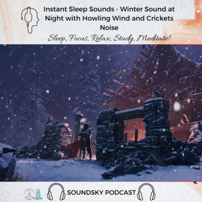 79. 💨Instant Sleep Sounds - Winter Sound at Night with Howling Wind and Crickets Noise | Study Sounds episode artwork
