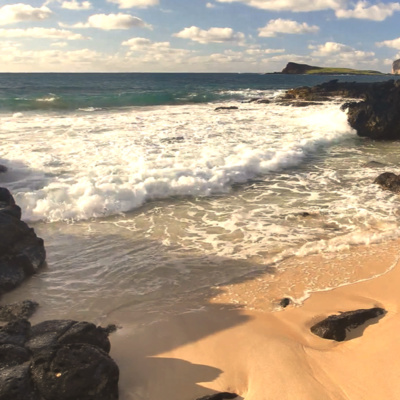 🏖️[VIDEO on Spotify] Most RELAXING Beach Waves with Pink Noise and Bird Chanting | Sleep Sounds, Meditation Music episode artwork