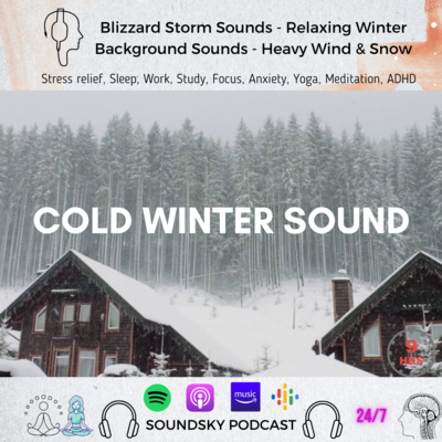 [9 HRS] Blizzard Storm Sounds - Relaxing Winter Background Sounds for Sleep - Heavy Wind & Snow | Sleep Winter Sounds episode artwork