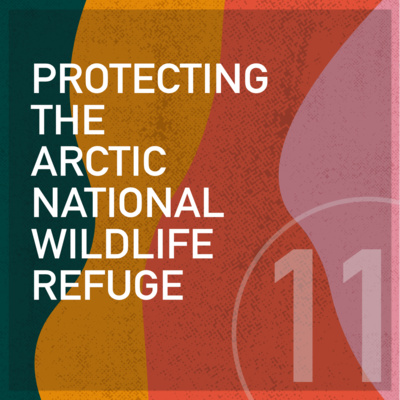 Protecting the Arctic National Wildlife Refuge