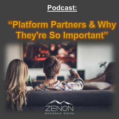 Platform Partners & Why They're So Important episode artwork