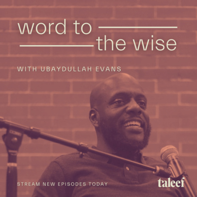 Word to the Wise: Self deception  episode artwork