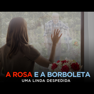 A Rosa e a Borboleta - Carta da Saudade - Eli Corrêa