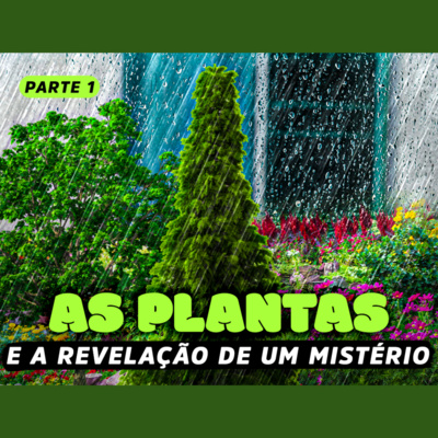 As plantas e a revelação de um mistério - Parte 1 | Eli Corrêa Oficial |