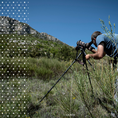 Sons d'ici - Episode 16 - Les géants du ciel