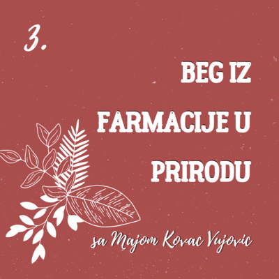 Beg iz farmacije u prirodu sa Majom Kovač Vujović ( smilje i bosilje 1.deo)