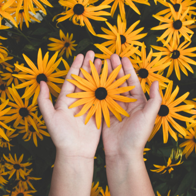 Living a Life of Oneness - With Cindy Bowen