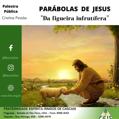 Parábolas de Jesus 12 – Da Figueira Infrutífera