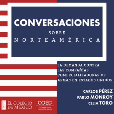 Conversaciones sobre Norteamérica. La demanda contra las compañías comercializadoras de armas en Estados Unidos episode artwork