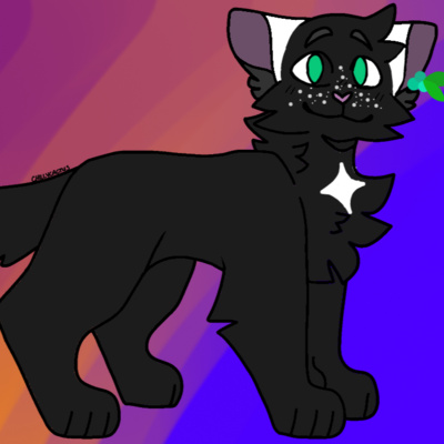 The Warrior Cats Show!