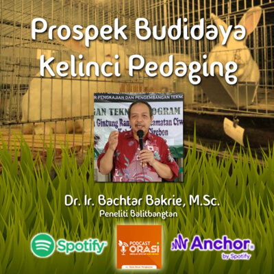 Ep.#12 - Prospek Budidaya Kelinci Pedaging