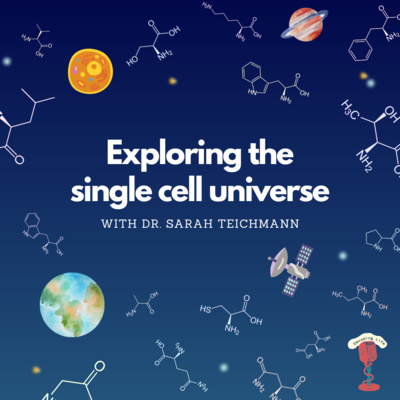 Exploring the Single Cell Universe with Dr. Sarah Teichmann