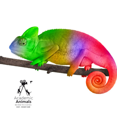 Academic Animals | Behind the Scenes - Revenge Is Sweet episode artwork