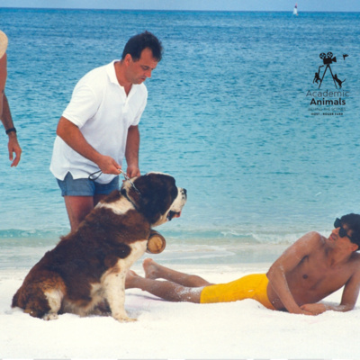 Academic Animals | Behind the Scenes - Club Med episode artwork
