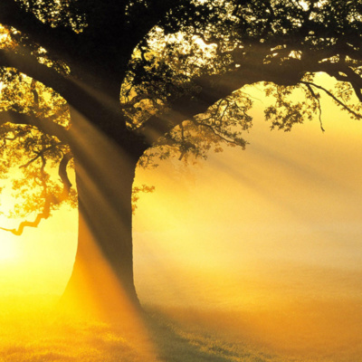 Holy Wisdom: Prayers For Thursday Morning