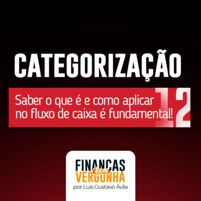 A importância da categorização no fluxo de caixa