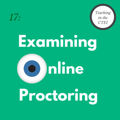 Teaching in the CTEI