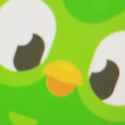 Playing DUOLINGO!!!!🦉 episode artwork