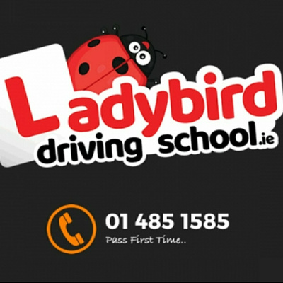 Driving instructor Training Dublin