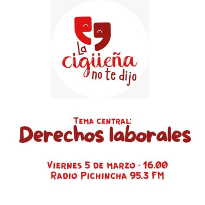 La cigüeña no te dijo