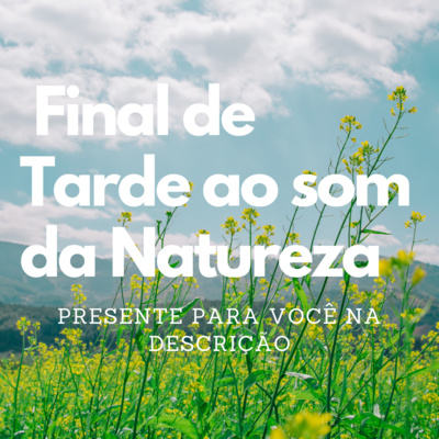 Final da Tarde ao Som da Natureza - Sons da Natureza - Músicas para Relaxar | Meditar