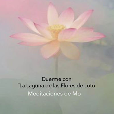 Meditaciones de Mo