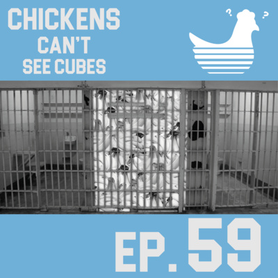 Episode 59: Chickens Can't See Mushrooms Down Your Trousers