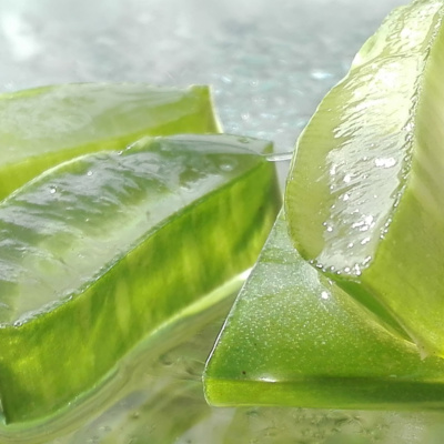 Aloe Vera for Weight Loss: Proven Benefits and Side Effects