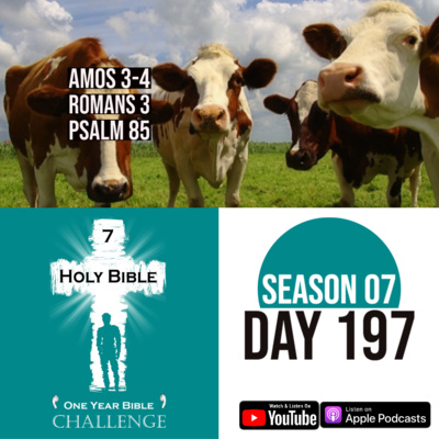 The One Year Bible Podcast 2025