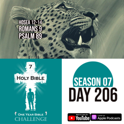 Day 206 | Hosea asks Israel to beg God for mercy | Romans 9: God and the Jewish People episode artwork