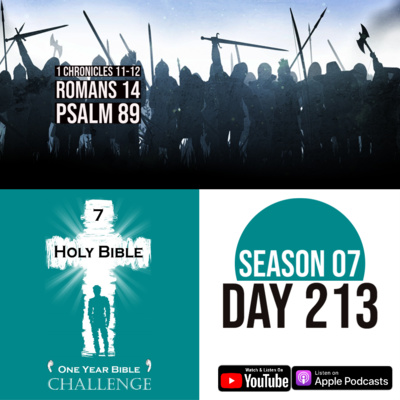 Day 213 | The Heroes of King David | Romans 14: Do not cause others to sin episode artwork