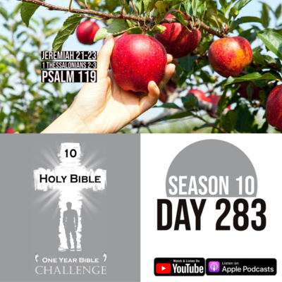 Day 283 | The Lord grows a new branch of David | 1 Thessalonians 2: Timothy helps out