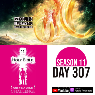 Day 307 | Ezekiel sees visions from God | Hebrews 4: Jesus the High Priest