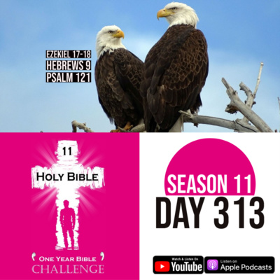 Day 313 | The Eagle and Vine | Sins of the Father | Hebrews 9: Christ is the final sacrifice