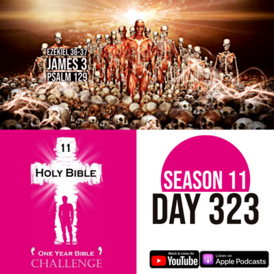 Day 323 | The Valley of Dry Bones | James 3: Watch your tongue