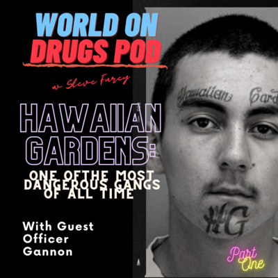 World on Drugs with Steve Furey