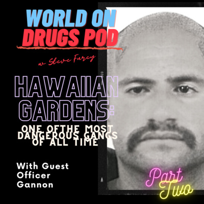 World on Drugs with Steve Furey