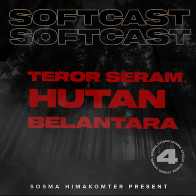Softcast