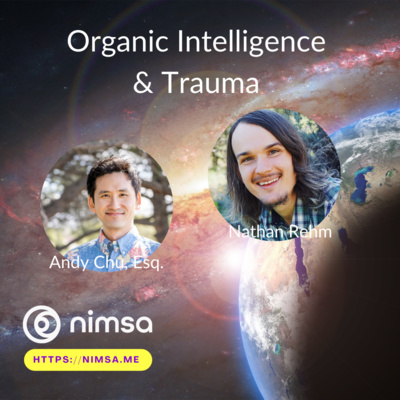 nimsa