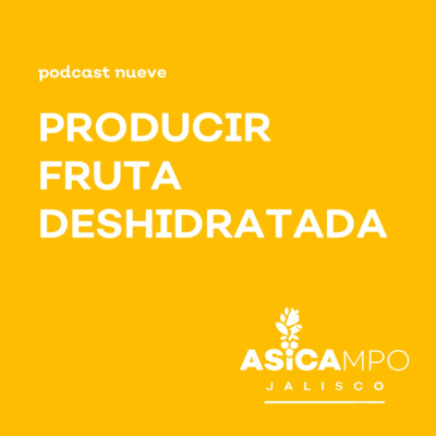 ASICAMPO
