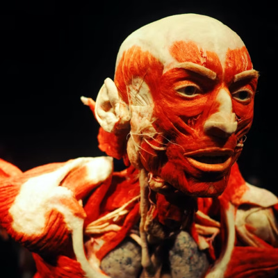 Ep. 2 - Relación Tóxica con Anatomía