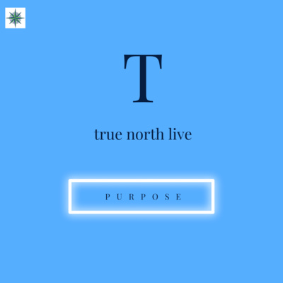 What is your purpose? Why did you become a health professional? by Dr. Cary at True North PM episode artwork