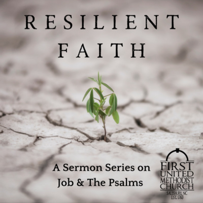 Salisbury Sermons