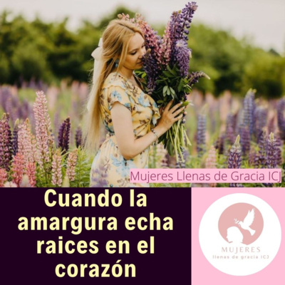 Cuando la amargura echa raices en el corazón, episode artwork