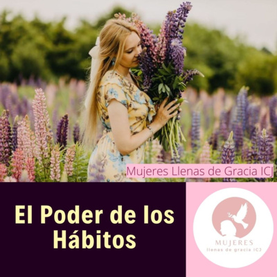 El Poder de los Hábitos / Vida Diaria episode artwork